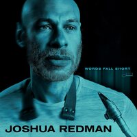 Joshua Redman - Words Fall Short vinyl cover