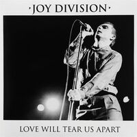 Joy Division - Love Will Tear Us Apart vinyl cover