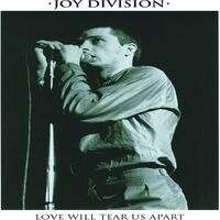 Joy Division - Love Will Tear Us Apart vinyl cover