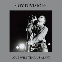 Joy Division - Love Will Tear Us Apart vinyl cover