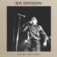Joy Division - Love Will Tear Us Apart vinyl cover