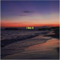 JP the Wavy - i Like It Feat. Yo-Sea, Lex & Io vinyl cover