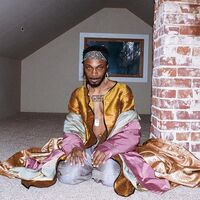 Jpegmafia - All My Heroes Are Cornballs vinyl cover
