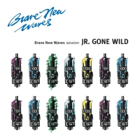 Jr. Gone Wild - Brave New Waves Session vinyl cover
