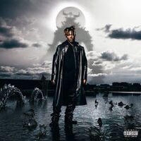 Juice Wrld - Fighting Demons vinyl cover