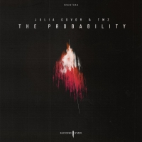 Julia & Tmz Govor - This Probability vinyl cover