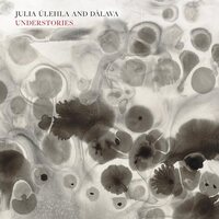 Julia Úlehla - Understories vinyl cover