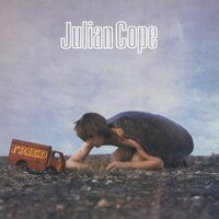 Julian Cope - Fried vinyl cover