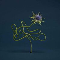 Julien Belliard - Le Mirage De Zo vinyl cover