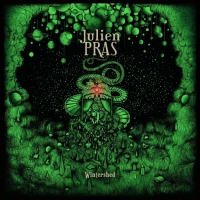 Julien Pras - Wintershed Dl Card vinyl cover