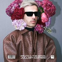 Jullian Gomes - Bruno & The Birds vinyl cover