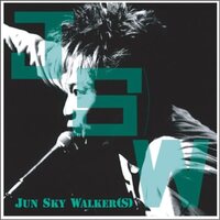 JUN SKY WALKER(S) - J S W vinyl cover