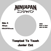 Junior Cat - Tempted To Touch / What You Do? vinyl cover