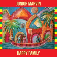 Junior Marvin - Happy Family (Red Gold & Green) vinyl cover