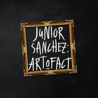 Junior Sanchez - Art O Fact vinyl cover