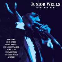 Junior Wells - Blues Brothers vinyl cover