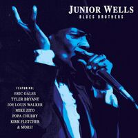 Junior Wells - Blues Brothers vinyl cover