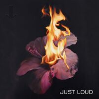 Just Loud - Just Loud vinyl cover