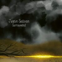 Justin Sullivan - Surrounded vinyl cover