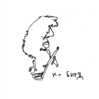 Ka Baird - Sapropelic Pycnic vinyl cover