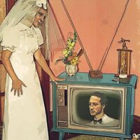 Kacy  &  Clayton And Marlon Williams - Plastic Bouquet vinyl cover