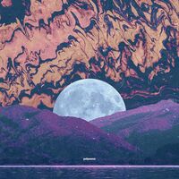 Kairon; Irse! - Polysomn vinyl cover