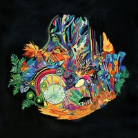 Kaitlyn Aurelia Smith - Ears vinyl cover