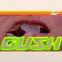 Kaitlyn Aurelia Smith - Gush vinyl cover