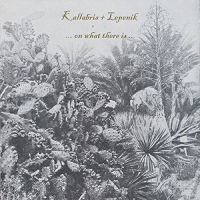 Kallabris / Lepenik - On What There Is vinyl cover