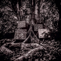 Kamasi Washington - Harmony Of Difference vinyl cover