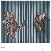 Kamron Saniee - Euphoric Studies vinyl cover