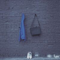 Kaonashi - Why Did You Do It? vinyl cover