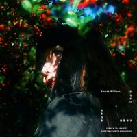 Sweet Williï½ï½ã¨é’葉市å - Karakai To Amaneki vinyl cover