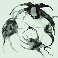 Kassel Jaeger - A Rift In the Horizon's Wall vinyl cover
