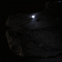 Kassel Jaeger - Aster vinyl cover