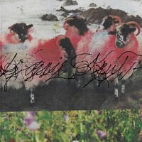 Kassie Krut - Kassie Krut vinyl cover