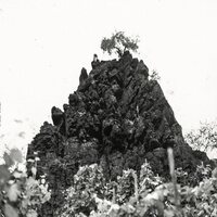 Kat Davids - Winterswell vinyl cover