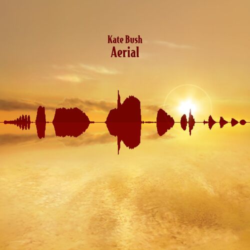 Kate Bush - Aerial  vinyl cover