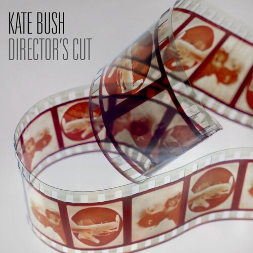 Kate Bush - Director'S Cut  vinyl cover