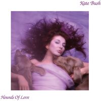 Kate Bush - Hounds Of Love  vinyl cover