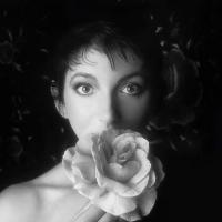 Kate Bush - Remastered In Ii vinyl cover