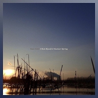 Kate Carr - I Had Myself A Nuclear Spring vinyl cover