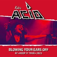 Kate's Acid - Blowing Your Ears Off vinyl cover