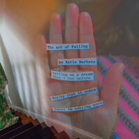 Katie Barbato - The Art Of Falling vinyl cover