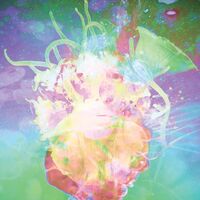 Katie Dey - Solipsisters vinyl cover