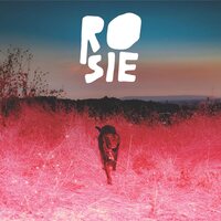 Kaycie Satterfield - ROsie (Eco-Friendly "Rosie" Red) vinyl cover