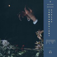 Keaton Henson - Somnambulant Cycles vinyl cover