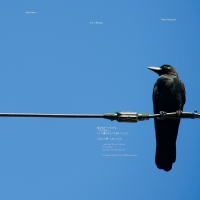 Keiji Haino - I Wonder If You Noticed - I'm Sorry - Is Such A vinyl cover