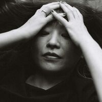 Keiko Higuchi - Vertical Language Analog vinyl cover