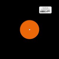 Kelly Lee Owens - Bird Prins Thomas Remixes vinyl cover